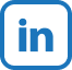 Icon Linkedin Footer